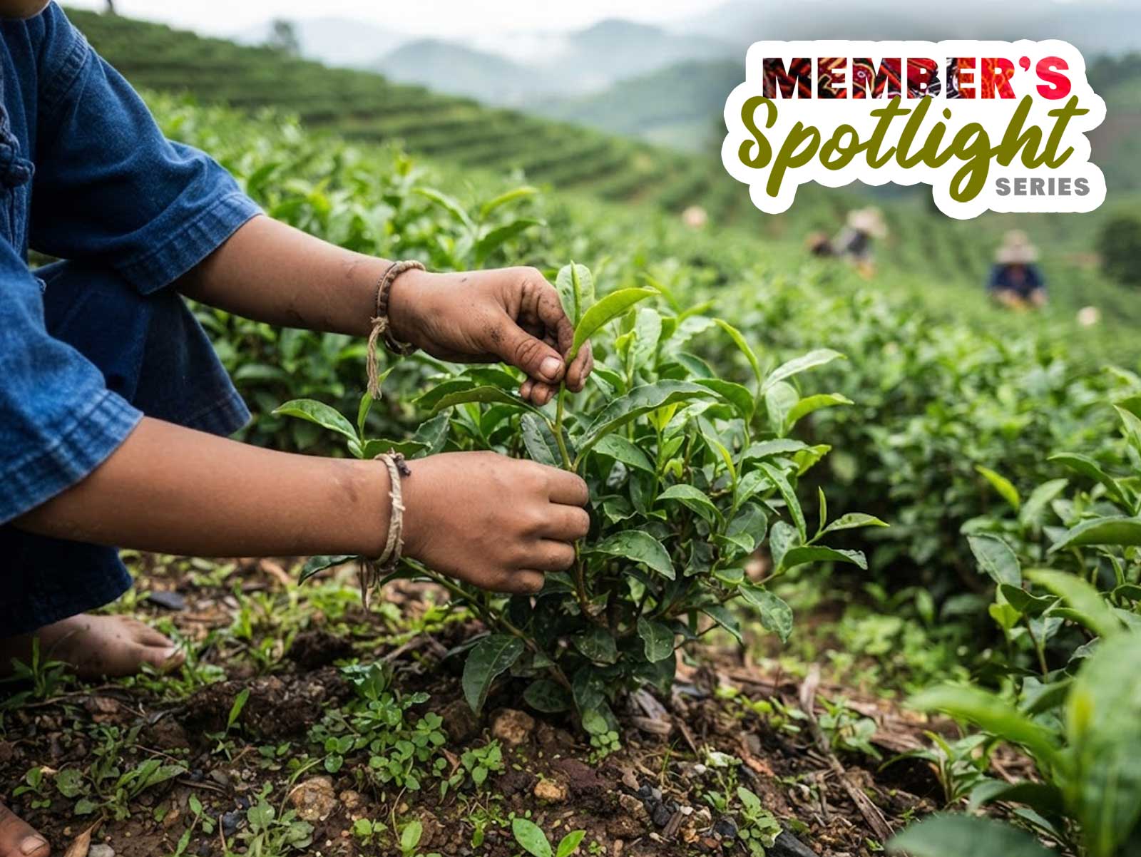 Community-Driven Initiatives and Social Enterprises of the Karen Youth